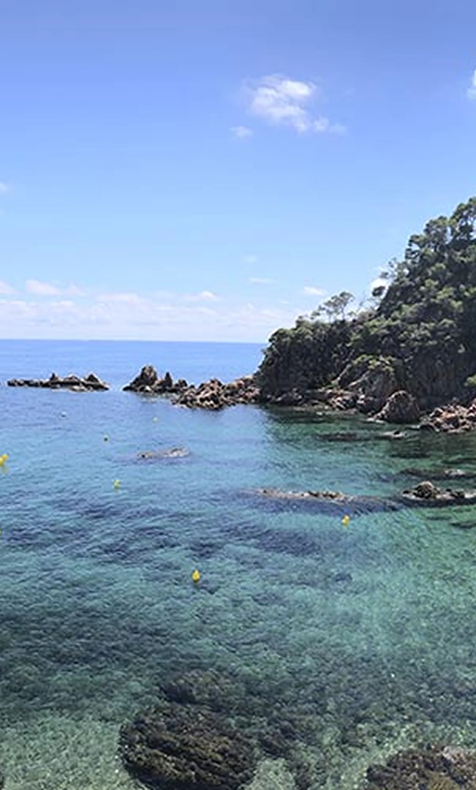 Catamarà Ukelele a la Costa Brava